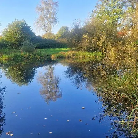 Landlicht Mit Terrasse In Ruhiger Lage