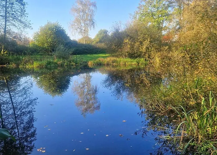 Landlicht Mit Terrasse In Ruhiger Lage